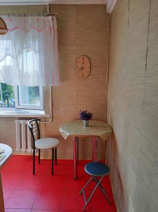 Апартаменты Cozy one bedroom apartment Киев Апартаменты с 1 спальней-6
